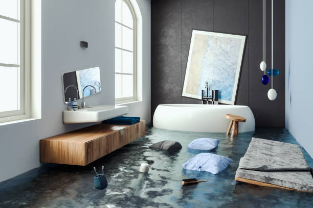 Best Basement water damage restoration  in Park City, UT