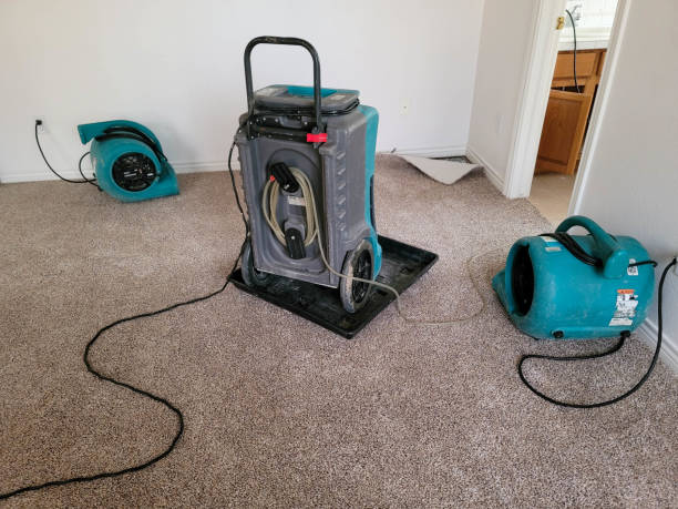 Carpet water damage restoration in UT