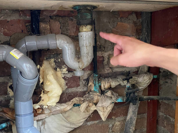 Best Water damage cleanup near me  in Park City, UT
