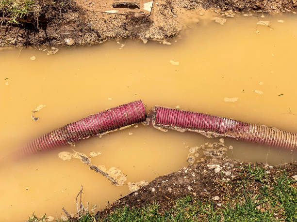 Best Carpet water damage restoration  in Park City, UT