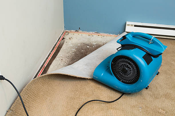 Best Commercial water damage restoration  in Park City, UT